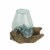 Melted Glass On Teak Driftwood Decorative Bowl/Vase/Terrarium Planter 6 Inches High Perspective: back