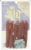 Takis® Fuego® Hot Chili Pepper & Lime Flavored Meat Sticks Perspective: back
