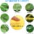 20-Pack Dual-Sided Yellow Sticky Traps Flying Plant Insect Fungus Gnats Whiteflies Aphids Perspective: back