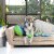 Midlee Hide a Ball Dog Toy - Blue/Green (Large) Perspective: back