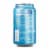 Poppi Wild Berry Prebiotic Soda Can Perspective: back