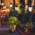 Teamson Home Rounded Artificial Topiary Shrub Pre-Lit Solar Powered LED Lights Perspective: back