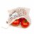 Five Mesh Produce Bags, Five Differently Sized Organic Cotton Produce Bags Perspective: back