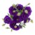 Lisianthus Perspective: back