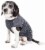 Pet Life Active Aero-Pawlse Heathered Quick-Dry Performance Dog Tank Top T-Shirt Perspective: back