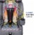 KidsEmbrace Nickelodeon Paw Patrol Skye Combination Harness Booster Car Seat Perspective: back