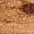 EcoProCote Eco-Poly Wood Floor and Concrete Finish and Sealer, 1 Gallon, Gloss Perspective: back