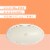 Native Sweet Peach & Nectar Deodorant Perspective: back