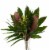 Consumer Bunch Bouquet - Green Perspective: back