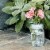 reCAP® Mason Jars lid FLIP cap | Regular Mouth | Silver Perspective: back