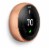 Google Nest T3021US Learning Thermostat 3rd Gen - Copper Perspective: back