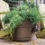 Bloem SP0745 7 in. Saturn Planter, Chocolate Perspective: back