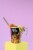 Snapdragon Miso Ramen Instant Noodle Soup - 2.2 oz Perspective: back