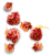 Popcornopolis® Takis® Fuego Popcorn Cone Perspective: back