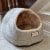 Aeromark C18HHL-MH Armarkat Pet Bed Cat Bed 18 x 12 x 14 - Sage green & Beige Perspective: back