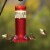 More Birds Diamond Hummingbird Feeder - Red Perspective: back