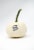 Pumpkin Patch Pals Casper White Ornamental Pumpkin Perspective: back