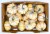 Pumpkin Patch Pals Tiger Stripe Ornamental Pumpkin Perspective: back