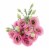 Super Bloom Lisianthus Perspective: back