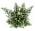 Aster Mix Celebration Bouquet Perspective: back