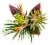 Cold Resistant Tropical ECB Bouquet Perspective: back