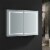 Fresca Spazio 48  Wide X 36  Tall Bathroom Medicine Cabinet W/ Led Lighting & Defogger Perspective: back