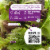 80 Acres Farms Plantopia Salad Blend Perspective: back