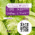 80 Acres Farms® Butter Me Up Zero Pesticides Salad Perspective: back