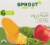 Sprout Organic Veggie Power Green Veggies with Pineapple & Apple Baby Food Perspective: back
