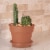 Bloem RCDC846 Bloem 8 in. Dura Cotta Planter Terra Cotta DC8-46 Perspective: back