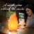 Himalayan Glow Pink Salt lamp With Neem Wooden Base, (ETL Certified) Dimmer Switch, 4-7 LBS  Perspective: back