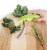 Talisman Designs Kale & Herb Stripper, Green Perspective: back