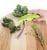 Talisman Designs Kale & Herb Stripper, Green Perspective: back