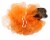 Midlee Loofah Dog Halloween Costume (Small, Orange) Perspective: back