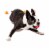 Midlee Mini 1.5 Dog Tennis Balls with Squeaker, Set of 12 Solid Colors Perspective: back