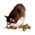Midlee 1.5 Mini Squeaker Christmas Dog Tennis Balls - Red/Green Pack of 12 Perspective: back