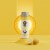 Core Hydration Immunity Enhanced Bottled Water Perspective: back