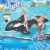 H2OGo!™ Jumbo Whale Rider - Black/White Perspective: back