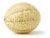 Tuscan Cantaloupe Perspective: back