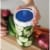 Masontops Wide Mouth Single Mason Jar Fermentation Kit Perspective: back