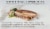 Wild Planet® Skinless Boneless Wild Sardine Fillets in Water Perspective: back