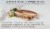 Wild Planet® Skinless Boneless Wild Sardine Fillets in Water Perspective: back