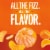 IZZE No Sugar Added Clementine Sparkling Juice Beverage Blend Perspective: back