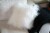 Casa Mia 100% Mongolian Sheep Fur Throw Pillow Perspective: back