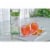 Yellow Tail Pure Bright Pinot Grigio Australia White Wine Perspective: back