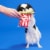 BARK Lieutenant Kernel Plush Dog Toy Perspective: back
