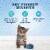 Blue Buffalo Baby Blue Chicken & Pea Dry Kitten Food Perspective: back