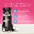 Blue Buffalo True Solutions Top Form Active Adult Dog Food Perspective: back
