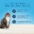 Blue Diamond True Solutions Fab Feline Chicken Natural Indoor Adult Wet Cat Food Perspective: back