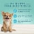 Blue Buffalo True Solutions Adult Small Breed Dog Maintenance Food Perspective: back